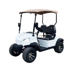 YIMAT-B2  2-seater golf cart, easy to use, easy on the hands, reliable performance