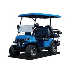 YIMAT-D2+2（high endurance）  Powerful, spacious and comfortable 4-seater golf cart Premium Edition