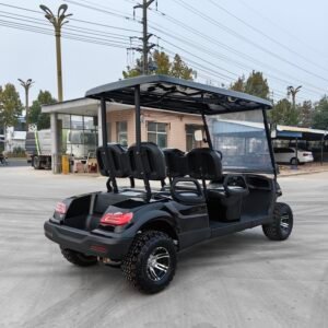 YIMAT-C4  New 4-seater golf cart, stylish and versatile